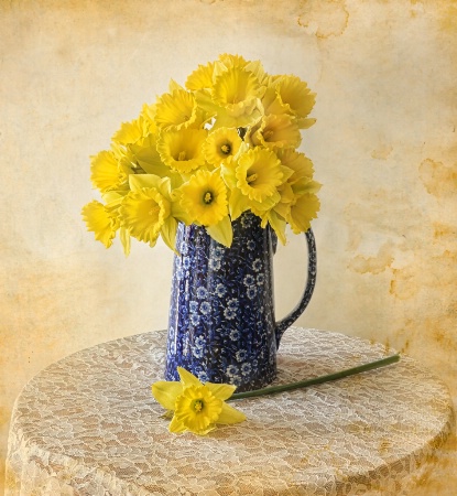 Yellow Daffodilds