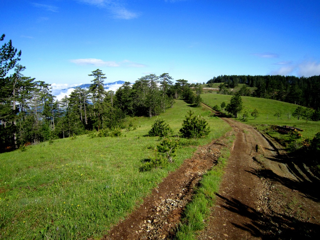 Mountain Road