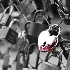 2Lock Heart - ID: 15565166 © Jacquie Palazzolo