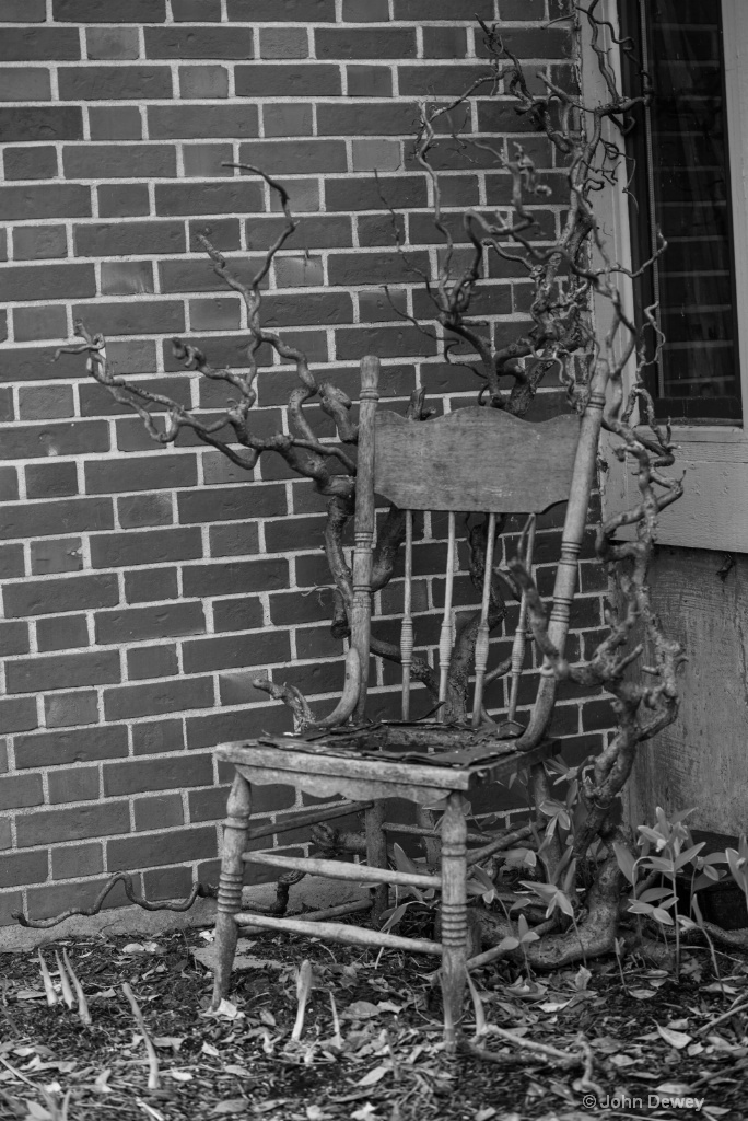 Chair and Vine