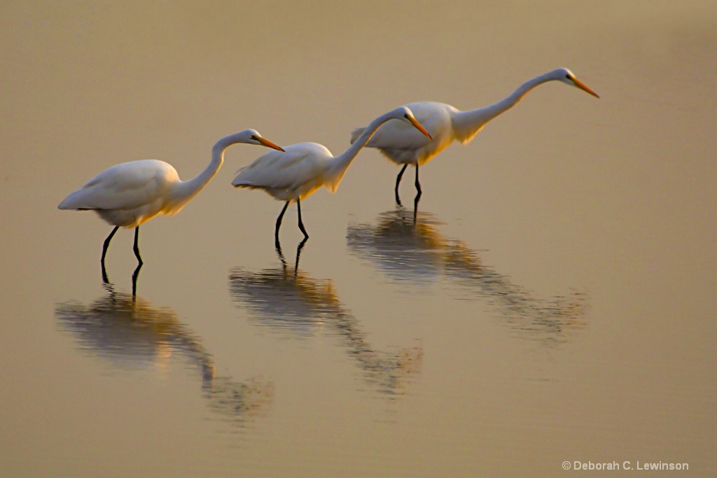 The Line-up-GPW - ID: 15566786 © Deborah C. Lewinson