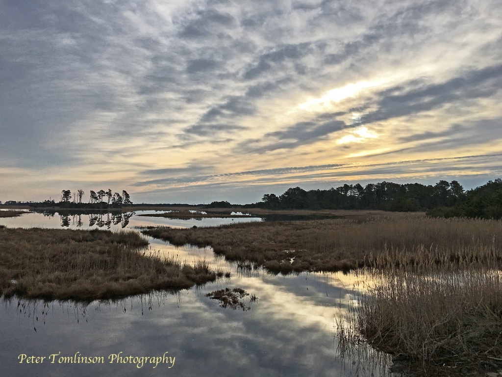 Early Morning Light, Chincoteague NWR