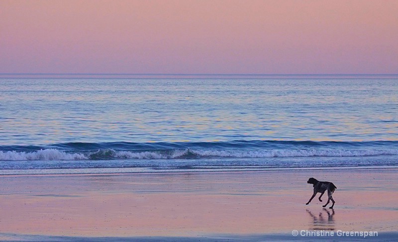 Ocean Evening