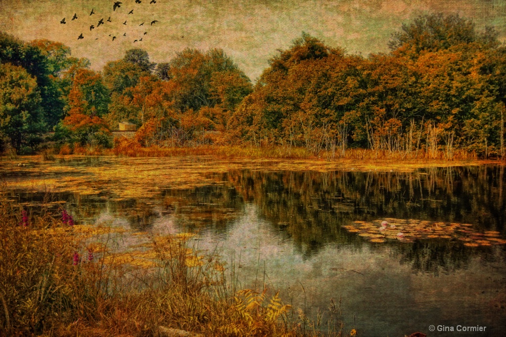 Vintage Pond