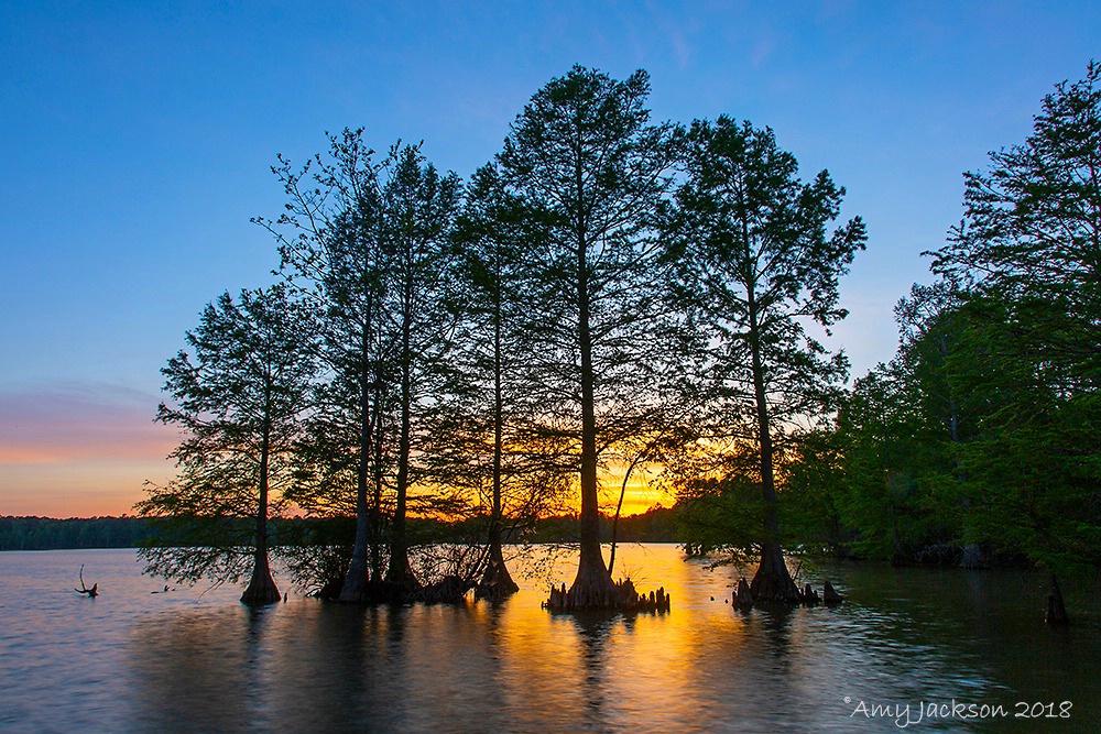 Sunset at Stumpy Lake