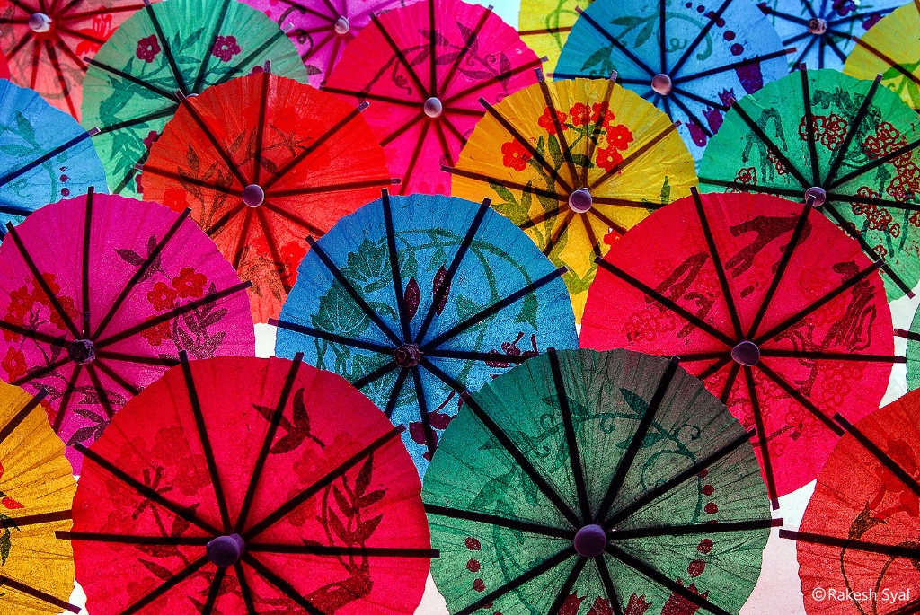 PAPER UMBRELLAS