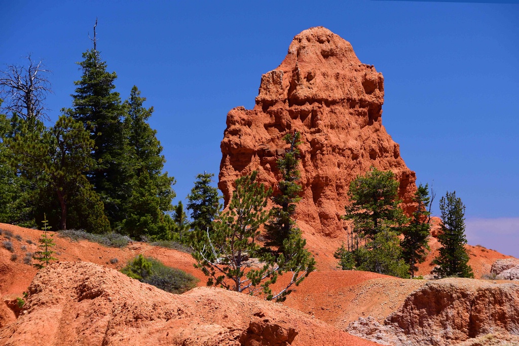 Formation on the rim at Bryce Canyon   - ID: 15571461 © William S. Briggs