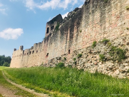 Houchburg castle ruins 