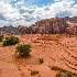 © Nancy Auestad PhotoID# 15573125: tree-lined petrified sanddunes