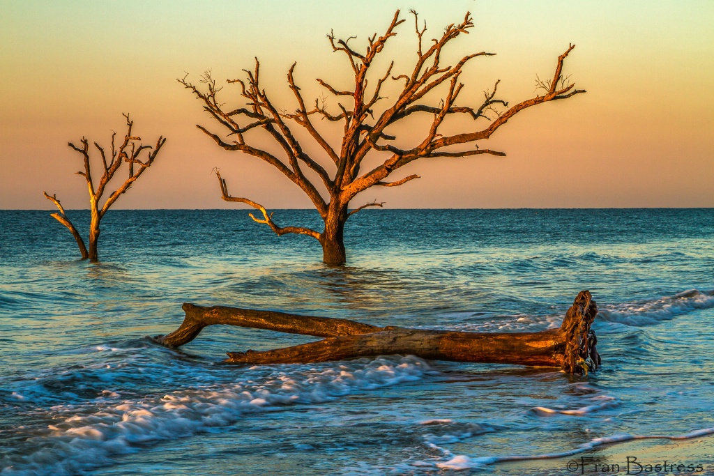 Botany Bay, South Carolina - ID: 15573229 © Fran  Bastress