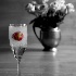 2Strawberry Splash - ID: 15573246 © Jacquie Palazzolo