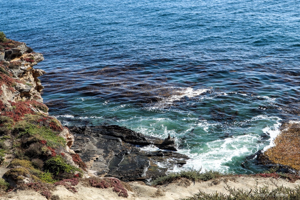 California Coastline