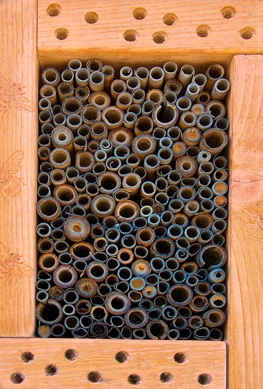 Mason Bee House