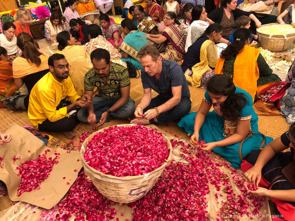 Plucking Festival Flowers 