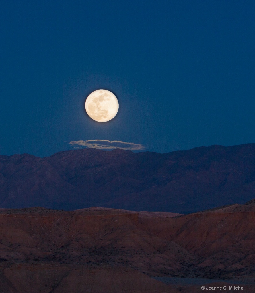 Mesquite Moon - ID: 15573903 © Jeanne C. Mitcho