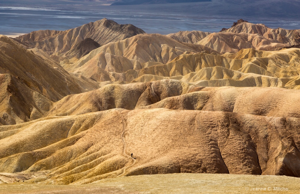 Death Valley - ID: 15573912 © Jeanne C. Mitcho