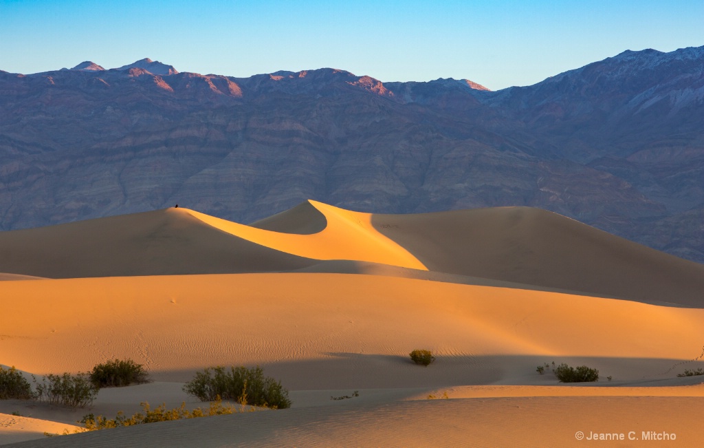 Death Valley - ID: 15573916 © Jeanne C. Mitcho