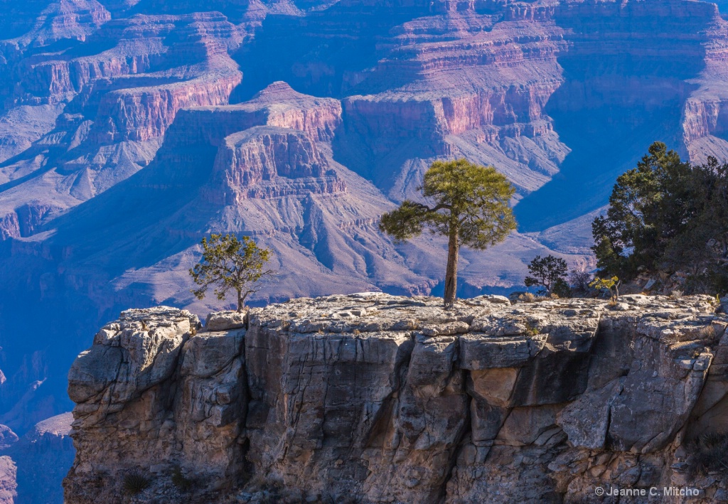 Grand Canyon - ID: 15573919 © Jeanne C. Mitcho