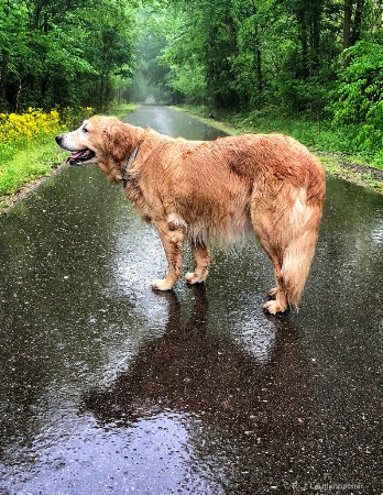 Caught in the Rain