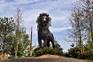 Aslan stands Tall