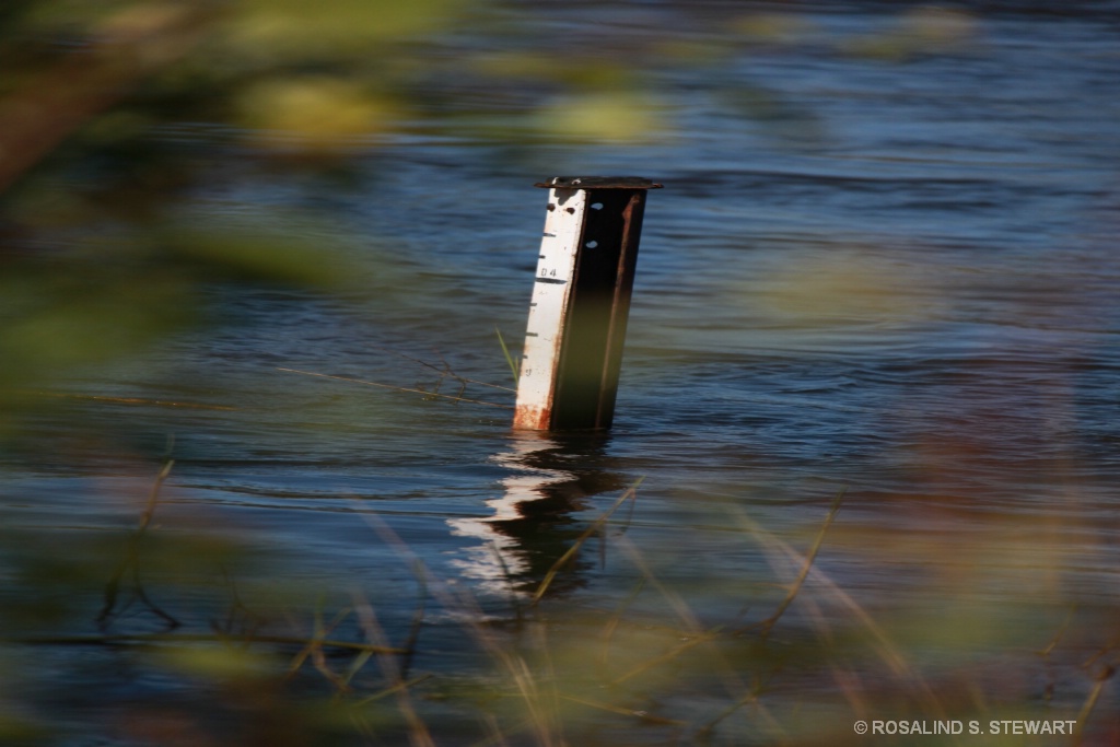 Zambezi - ID: 15574498 © ROSALIND S. STEWART