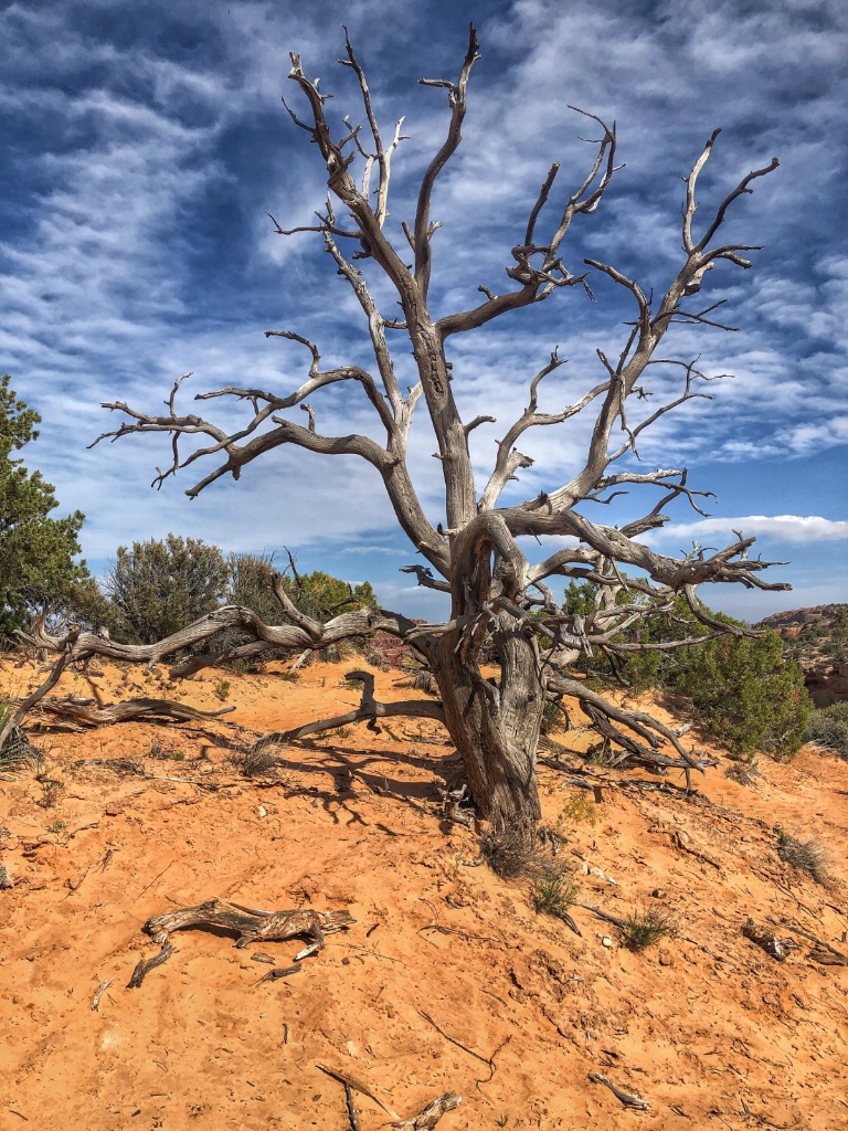 Canyonlands