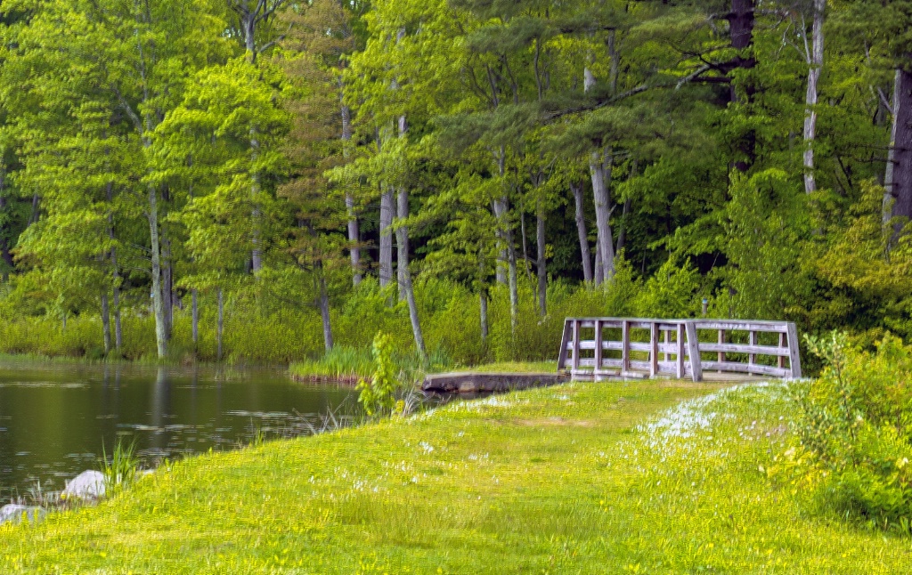 Lake Trail