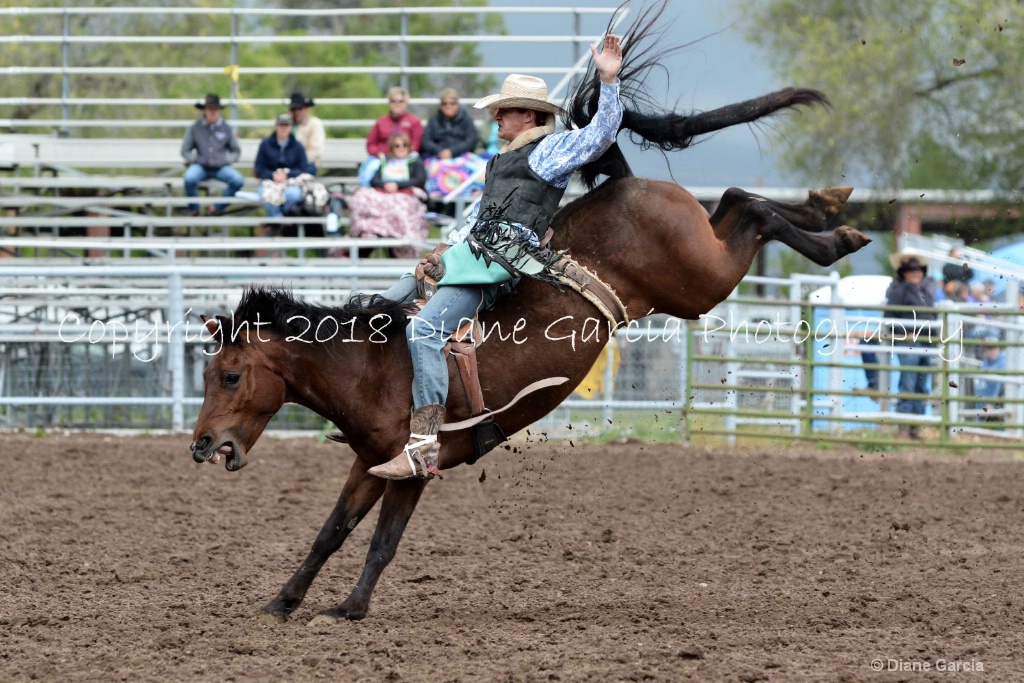 Zeke Holcomb UHS M18 BB 3.JPG - ID: 15575932 © Diane Garcia