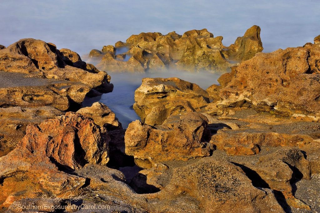 Low Tide