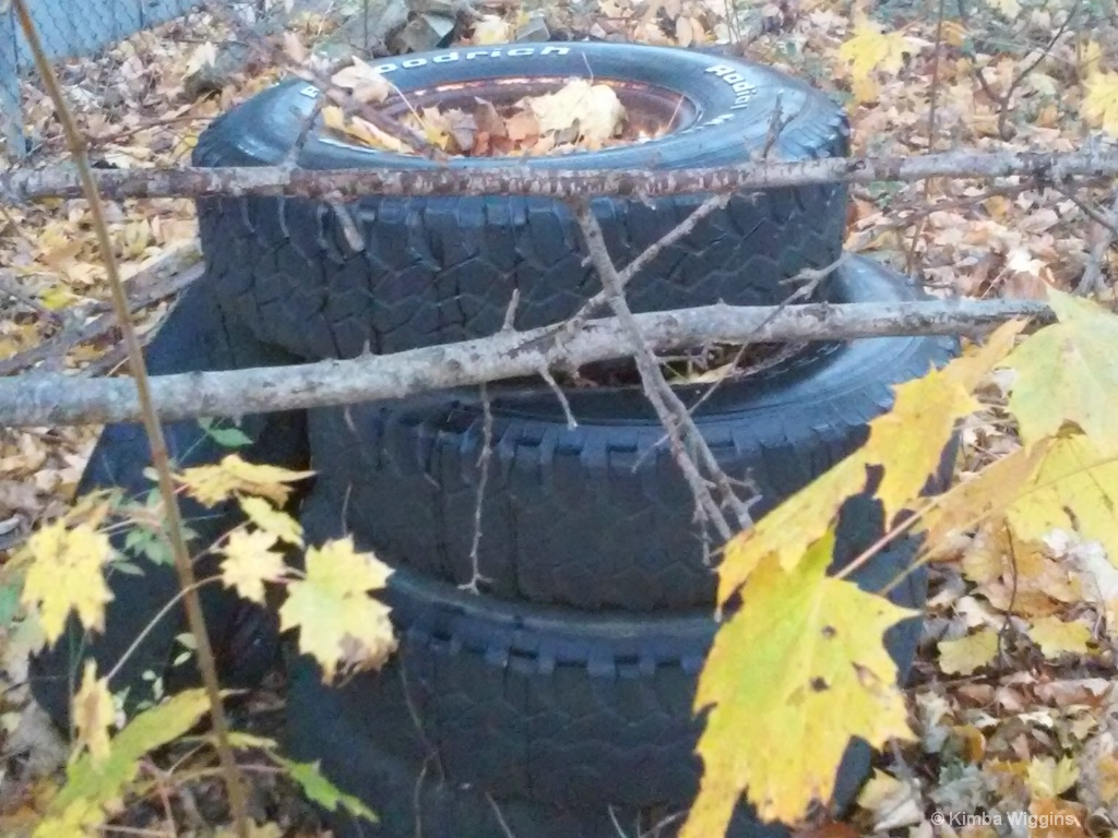 Tire Stack in Nature