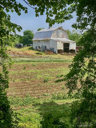 The-Amish-Farm