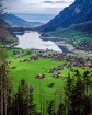 Swiss Alps