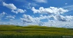 Palouse