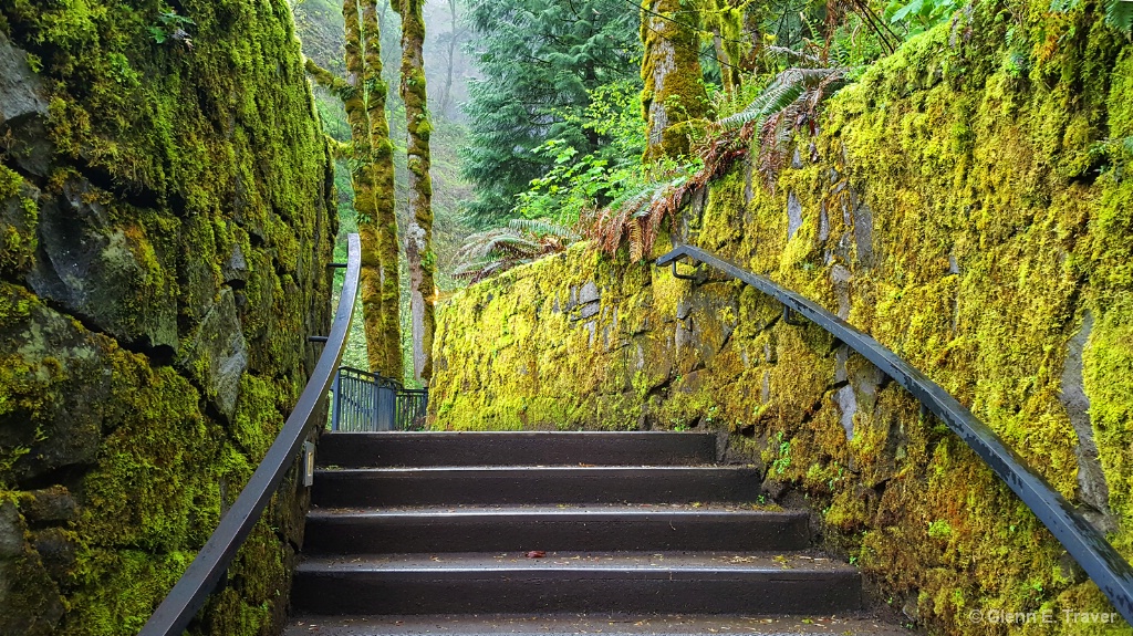 Stairs to the Falls