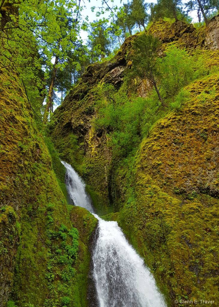 Hiking the Trail