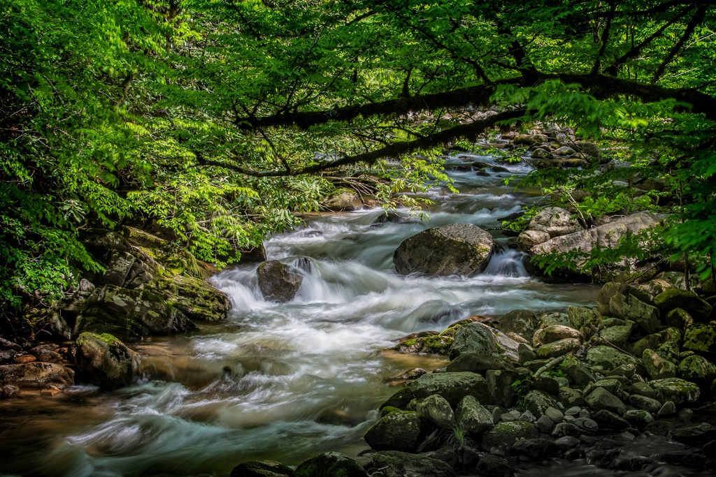 Little River Rapids  