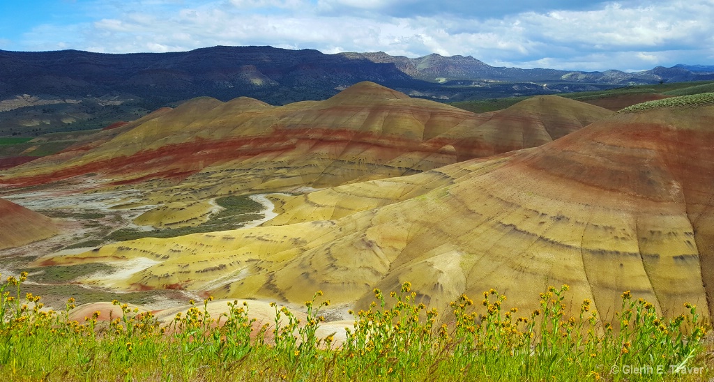 The Painted Hills on a Flowery Morning