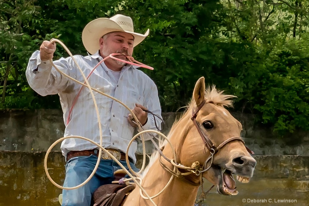 Ready for Roping - ID: 15578891 © Deborah C. Lewinson