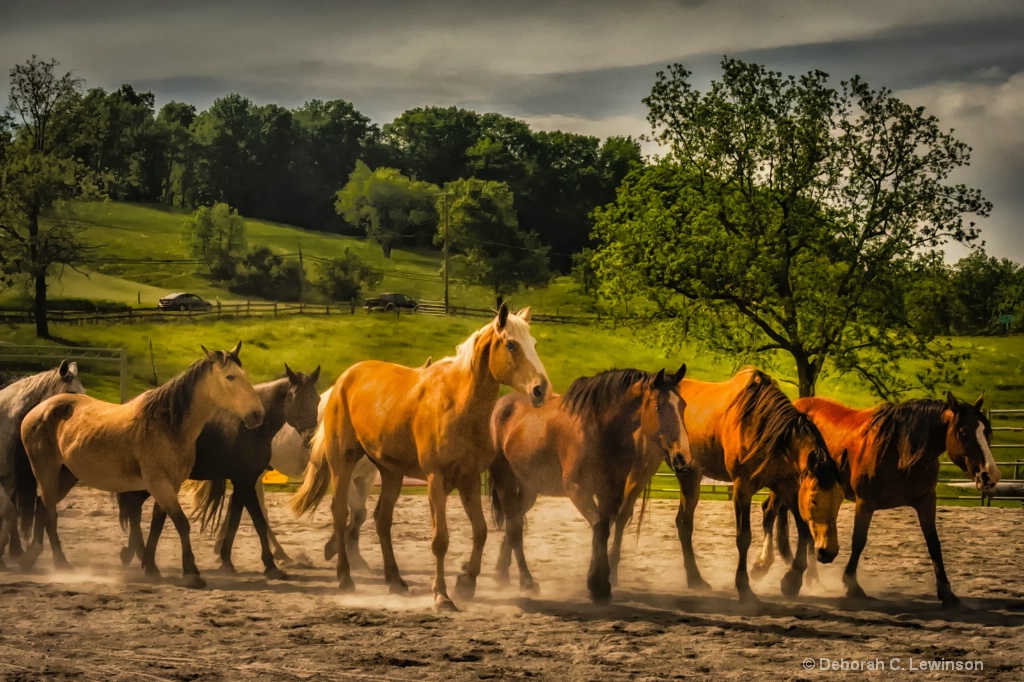 The Herd - ID: 15578897 © Deborah C. Lewinson
