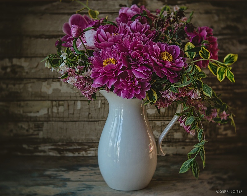 Perfectly Pink Peonies