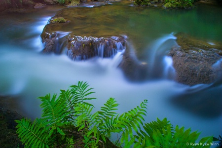 Slow Motion of Water