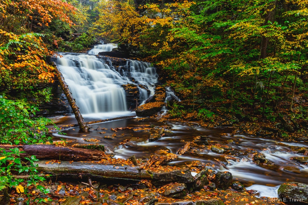 Ricketts Glen Autumn Morning 