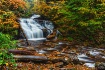 Ricketts Glen Aut...