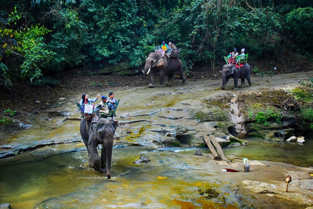 Travel by elephants