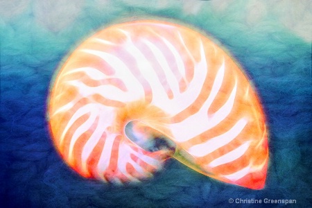 Deep Ocean Nautilus
