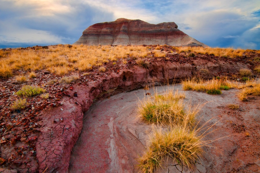 Desert Arroyo