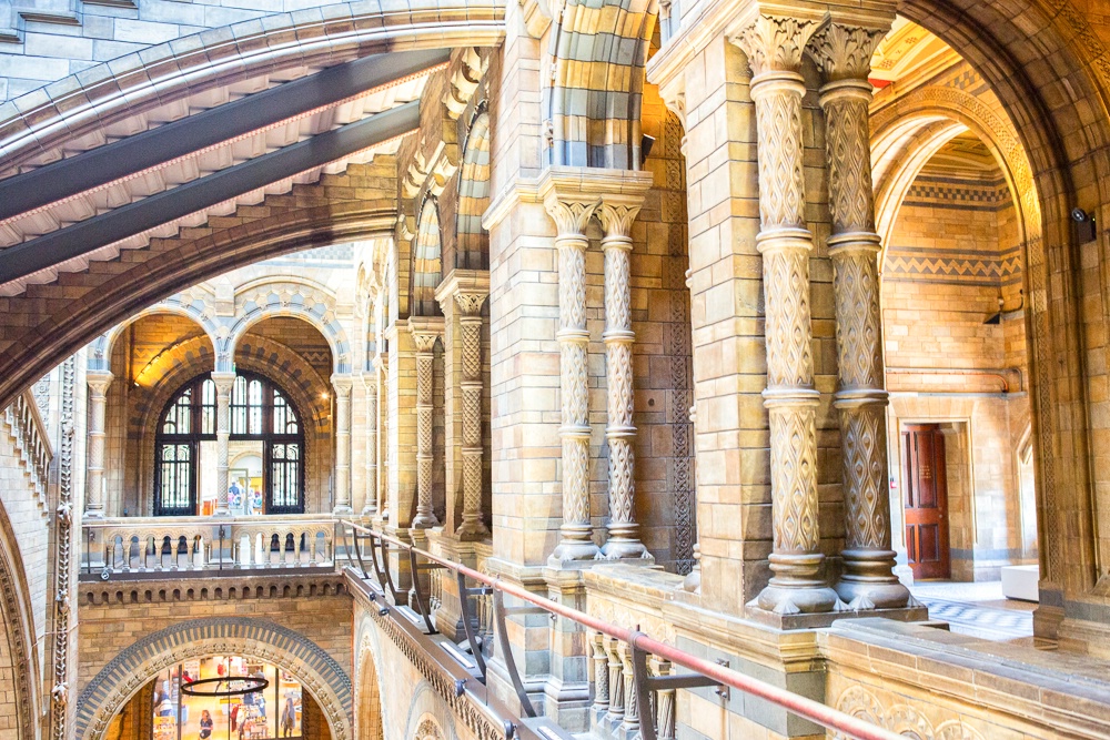 Natural History Museum, London