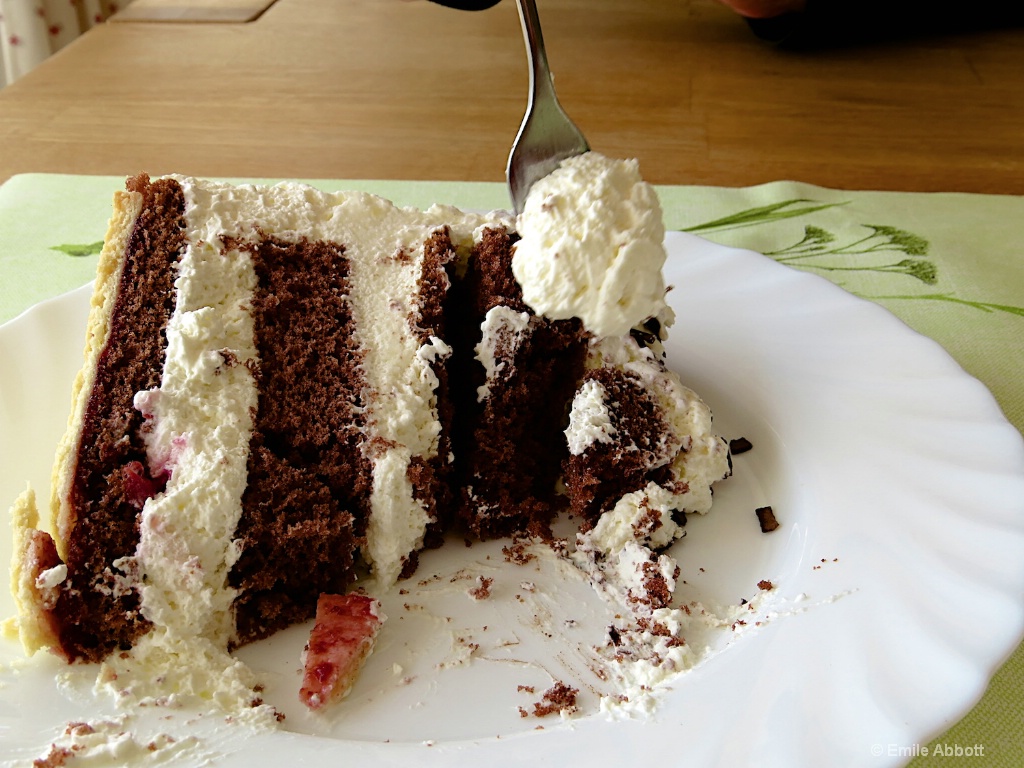 Black Forest Cake - ID: 15581392 © Emile Abbott