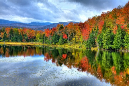 Belvedere Pond