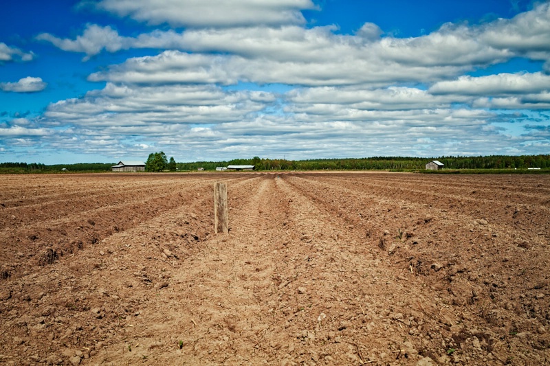 Mark On The Plowed Furrows